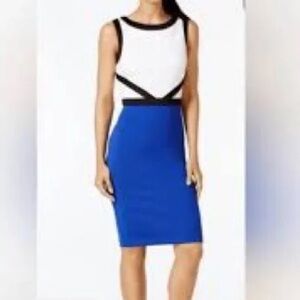 Calvin Klein Colorblock Dress Size 12